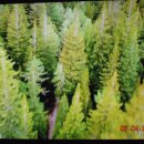 함께웃는부동산공인중개사사무소 이미지