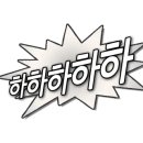 민들레애견 이미지