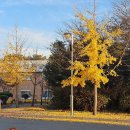 순성체육공원테니스장 이미지