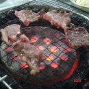 태백연탄 Daum카페