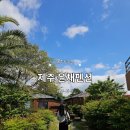 제주윤채
