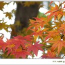 평림초등학교 이미지