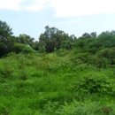 색달동-10 이미지