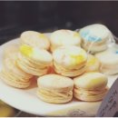 단스부띠끄 이미지