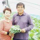 금반농장 이미지