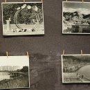 도원공원 농구장 이미지