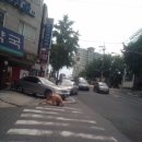 안생약국 이미지