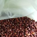 여주-0991 이미지