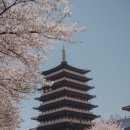 라비안 | 경주 독채 풀빌라 커플 여행으로 좋은 프라이빗한 라비안 풀빌라