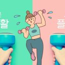 짐플레이 이미지