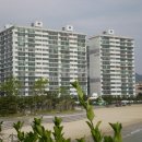 태양부동산중개 이미지