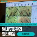 엘라피움 | [남양주/별내별가람역] 전문 별내 두피관리 "엘라피움" 체험 후기 (ft. 비포&애프터)
