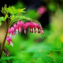 스마트폰 100 활용하기 이미지