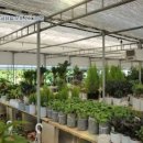 부자농장(정읍) 이미지