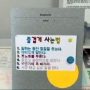 주은세탁 | 가오와 무모 사이