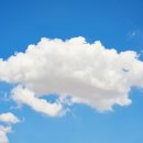 구름동물병원 이미지