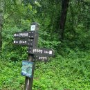 비음산날개봉(520m),비음산(510m) / 창원시 의창구 이미지