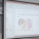 동심교육 | [동심 소식] 중랑구민과 함께한 한국열린사이버대학교 웰니스 목 림프 순환 교육 후기