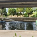 인삼송어장 이미지