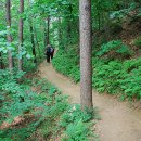 부락산 자전거도로 이미지