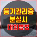 제주카라공인중개사사무소 이미지