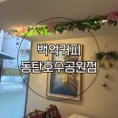 백억커피동탄 | 동탄호수공원 카페 추천 백억커피 솔직후기