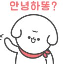 블링펫살롱 이미지