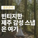 제주도웨딩스냅 빈티지한 감성의 다게르스튜디오 찐후기
