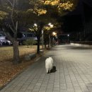 매정주유소(주) 네이버블로그