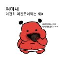 미들 도어 이미지