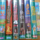 피노키5 이미지