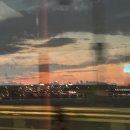 허니멍 | 상처 난 채로 덧나지 않게 넌 나의 허니로그 | 후시딘 마데카솔 반창고 필요해 나 힘드렁..