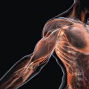 피티에이치 이미지