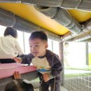 천전동7 이미지