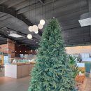 새만금개발공사 노동조합 | 군산공간대여 / 군산 비응도 대형 베이커리 카페 대디스하버