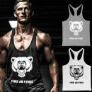 머슬베어짐 이미지