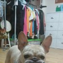큐티
