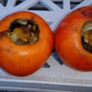 산이네농장 이미지