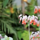 여우메디 이미지