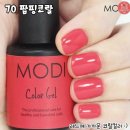 네일조아라