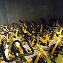 지앤지(G&G) 이미지