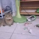 일월공방 이미지