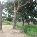 두일농장 이미지