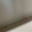 힐데스크리닝 이미지