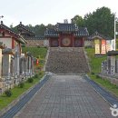 금산야채