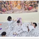 훌륭한 태권도 이미지