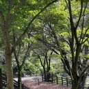 화엄사주차장 화장실 이미지