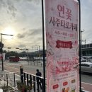 35가든 | 잘 안풀릴때 연꽃사주타로카페포차 상록수점에서 신점 타로 본 후기