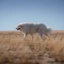 세진한의원 이미지