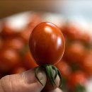 부농농장 이미지